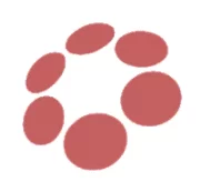 savvyconnect app